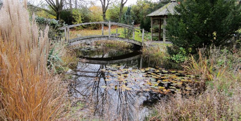 Gartenimpressionen