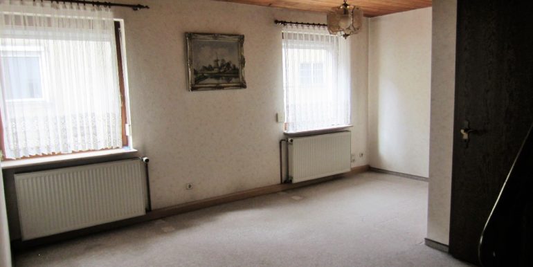 EG Eingangsbereich/Durchgangszimmer